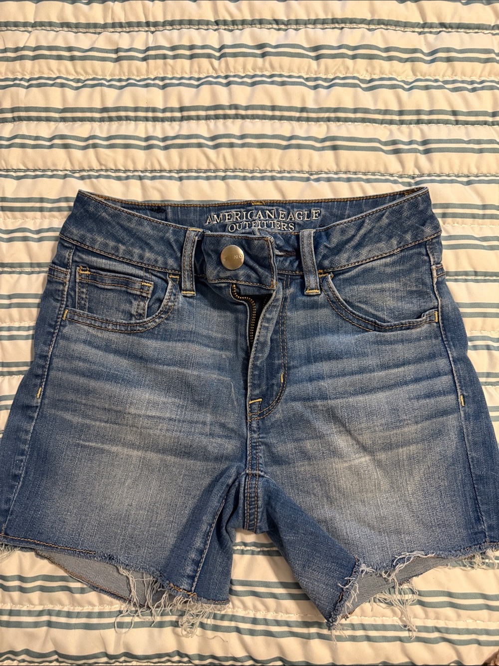 American Eagle Outfitters Blue Denim Cut-Off Shorts